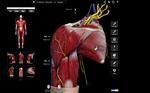   Anatomy III by 3D4Medical (Bundle)
